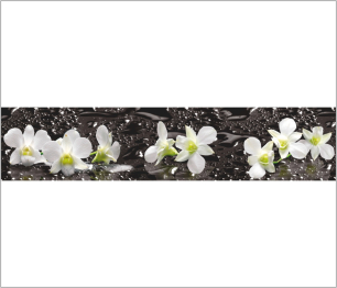 Панель ASP 14 2800*610*6 глянец Орхидеи на черном