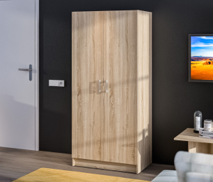 Шкаф 2-х дверный Терра (Лофт) СБ-2962